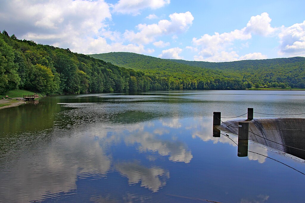 1024px-Allegany_State_Park_-_panoramio_(2) Allegany State Park in Allegany County NY